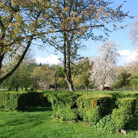 Gites Aux Fleurs De Cerises Le Plessis-Luzarches Eksteriør bilde