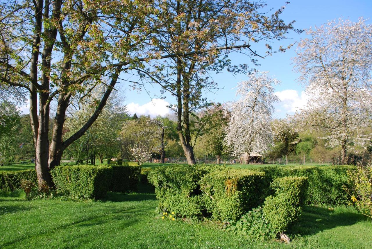 Gites Aux Fleurs De Cerises Le Plessis-Luzarches Eksteriør bilde